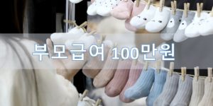 부모급여 100만원