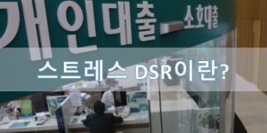 스트레스 DSR