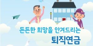 퇴직연금 의료비