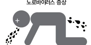 노로바이러스 증상