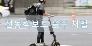 이동장치별 전동킥보드 음주 처벌