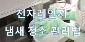 전자레인지 냄새 청소 관리법