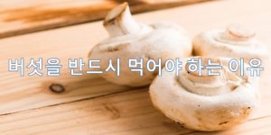 버섯을 먹어야 하는 이유