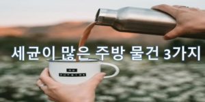 세균이 많은 주방 용품