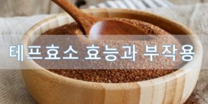 테프효소 효능과 부작용