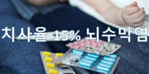 치사율 15% 뇌수막염